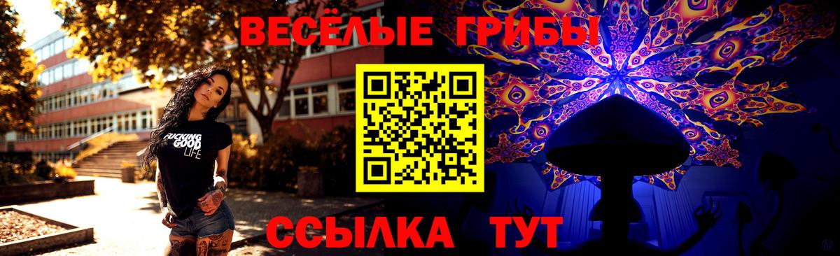 Псилоцибиновые грибы мицелий  Вход с VPN  Белогорск  Псилоцибиновые грибы прущие грибы 